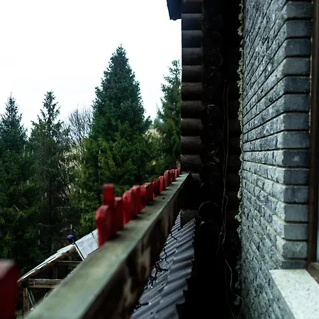 호텔 Wood House Pilipets