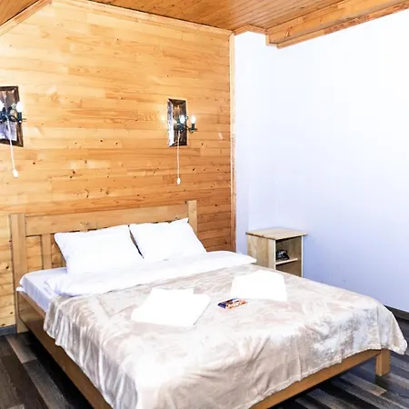 Wood House Pilipets