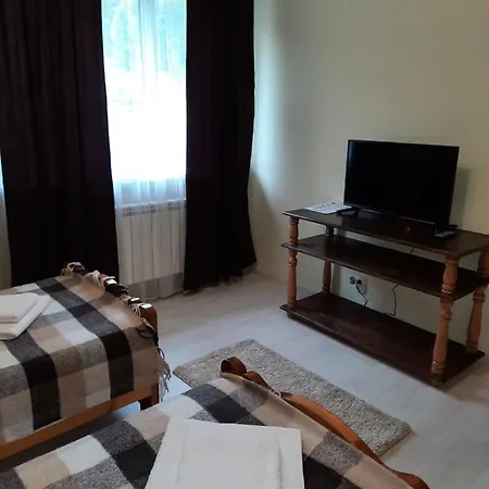 Hotel Wood House Pilipets