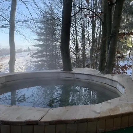 Wood House Hotel Pilipets